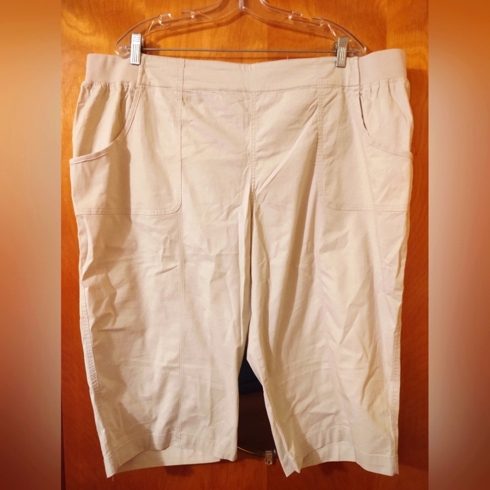 NWT CJ Banks pull on Capri's 24W